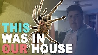 THIS WAS IN OUR HOUSE | Record That