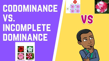 Codominance vs. Incomplete Dominance