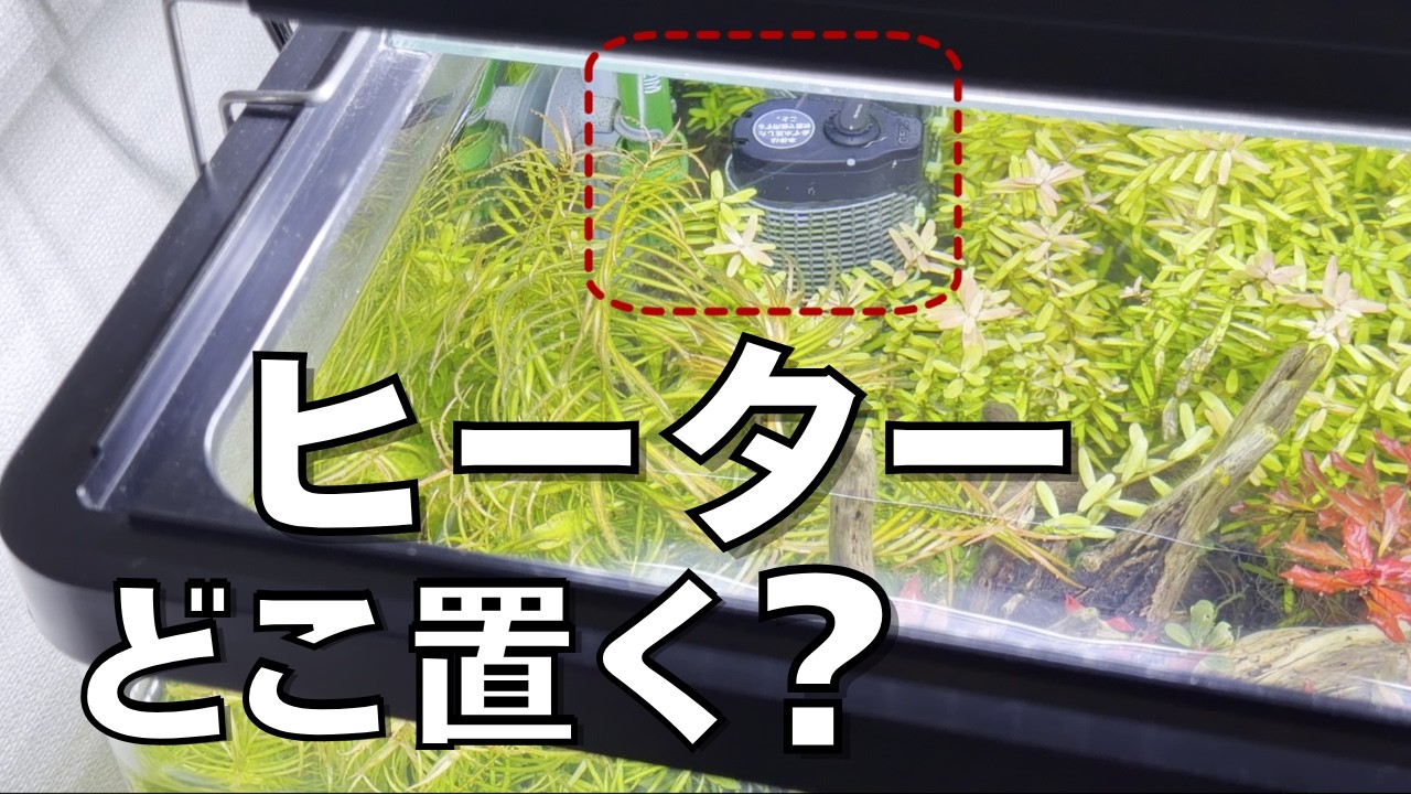 【ヒーターの取付位置って？】水温ムラを防ぐ考え方