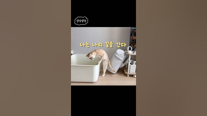 왕의 남자. 그는 그의 길을 간다.  #손님입구는저쪽입니다 #내가가는길이길이다 #고양이는왜저럴까 #고양이외줄타기