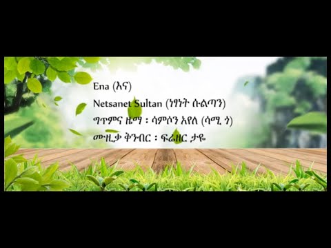 Netsanet Sultan Ena ነፃነት ሱልጣን እና New Ethiopian Music 2021 Lyric Video