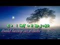 Niko Njotorahardjo - Kuberharap KepadaMu (Lyrics)