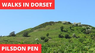 WALKS IN DORSET at PILSDON PEN (4K)