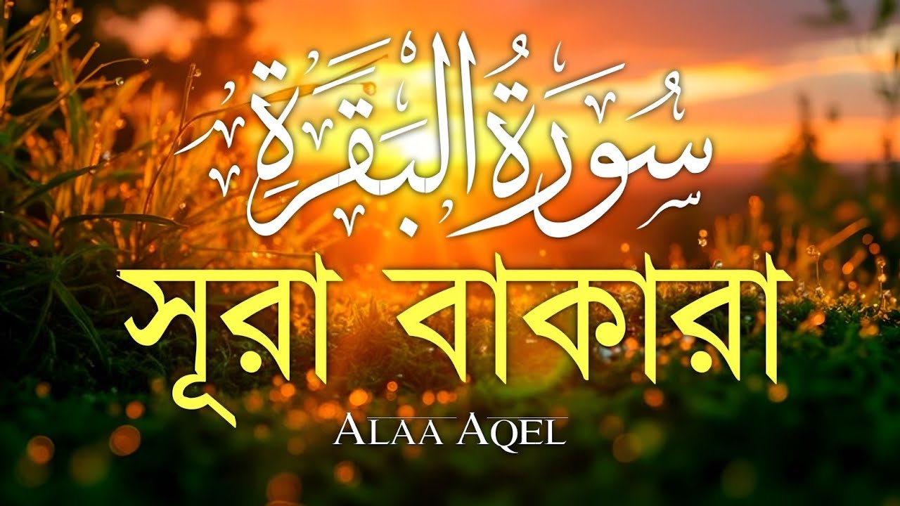 ঘরের উন্নতির জন্য সূরা বাকারা প্রতিদিন শুনুন I Surah Al Baqarah Full Quran Recitation | Alaa Aqel