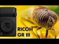 Ricoh GR III Review and Macro Photography