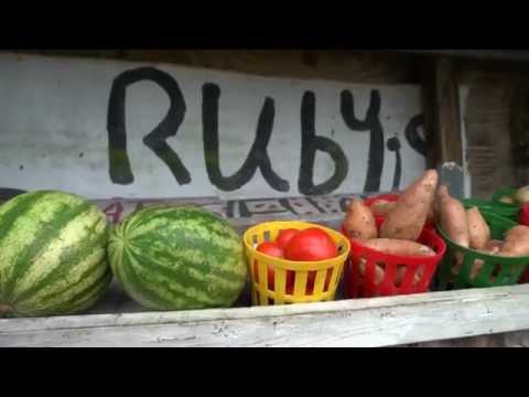 Florida FOLK ARTIST