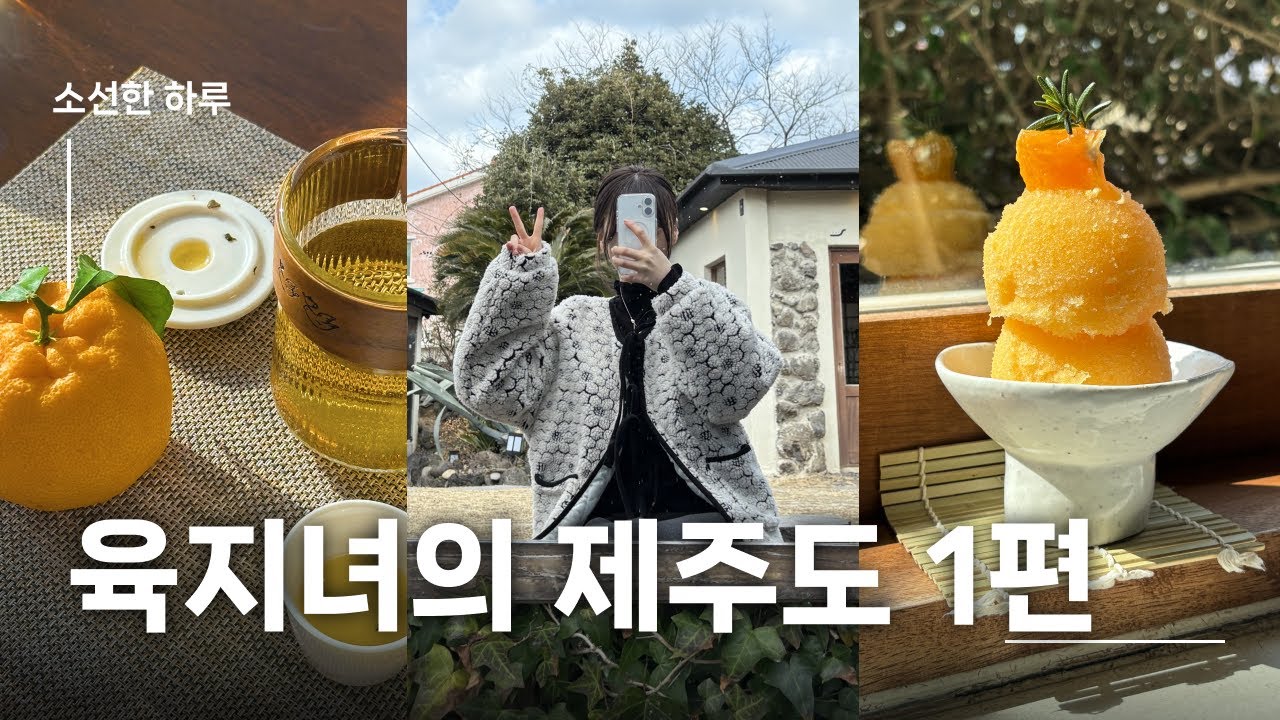 [소선한 하루]육지녀의 제주도 강풍에서 살아남기 1편