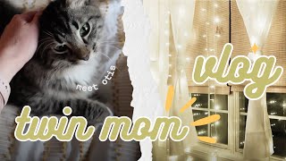 **NEW** TWIN MOM VLOG | Run Errands With A Mom Of 4 | Meet Our New Kitten | Dinner & Clean Up Time