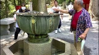 WOW! AMAZING DAIYUZAN SAIJOJI TEMPLE; locaded in the forest with a masterful landscape
