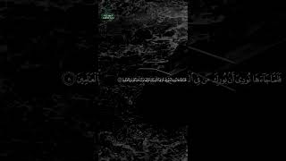 سورة النمل • مكية • بصوت هاني الرفاعي | عدد الآيات: 93 #قرآن #Quran #تلاوة #قرآن_كريم #النمل