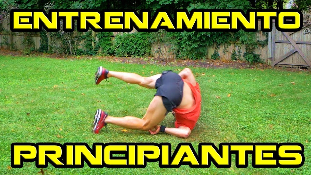 Entrenamiento De Artes Marciales Para Principiantes