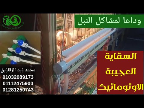 أحدث إختراع عبقري لسقاية دواجن اوتوماتيك وداعا للنبل ومشاكله محمد زيد الزقازيق إصنعها بنفسك
