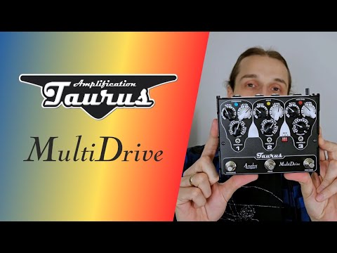 Taurus Mulidrive / Lenny Kravitz - Always on the Run