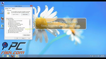 How to view hidden files and folders in Windows 8?