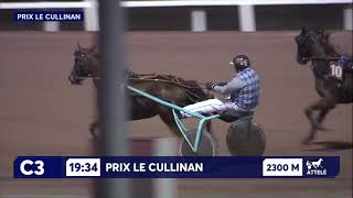 Vidéo de la course PMU PRIX LE CULLINAN