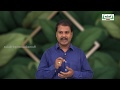 NEET   Botany Respiration  சுவாசித்தல் Kalvi TV