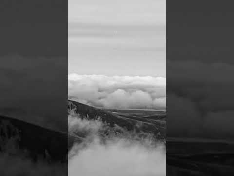 in turns