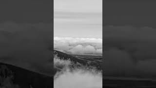 in turns