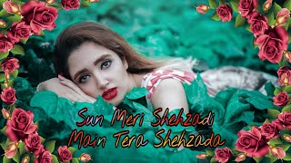 Sun Meri Shehzadi Main Tera Shehzada Dj Song TikTok Viral SongHard Bass Dj 2020Jbl Dj 2020