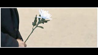 K151 / 오카리나연주 /  나팔꽃 인생-송해 / 오카리나할배