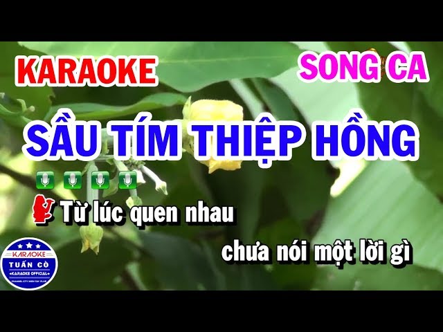 Karaoke Sầu Tím Thiệp Hồng - HẠNH PHAN & BÁ LƯU 