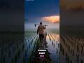 The Hardworking Farmer 🌾 | A Powerful Story of Determination &amp; Hope