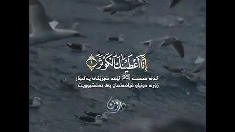 القارئ عبدالرحمن مسعد سورة الكوثر