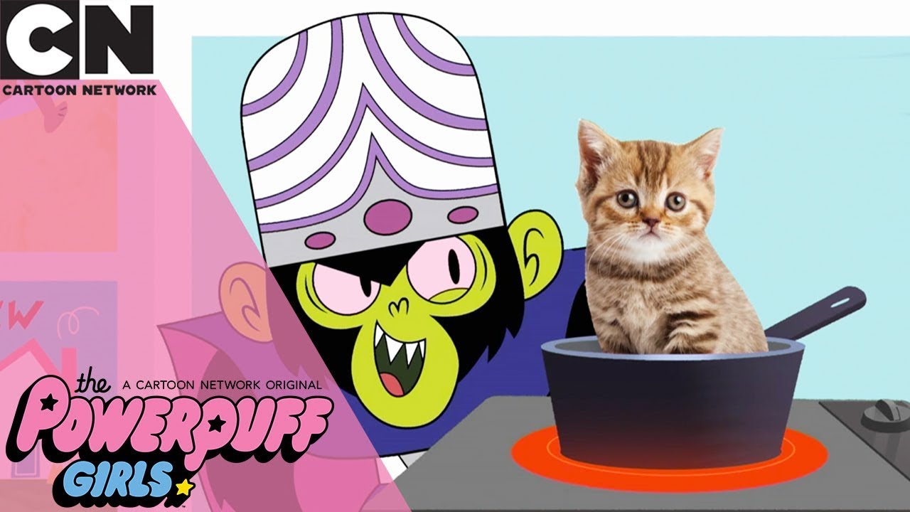 The Powerpuff Girls | Fake News | Cartoon Network - YouTube
