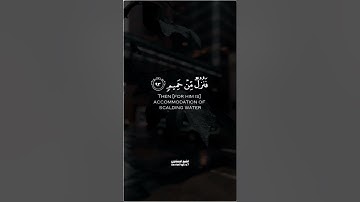 ﴿وَأَمّا إِن كانَ مِن أَصحابِ اليَمينِ﴾  | سورة الواقعة | الشيخ المنشاوي