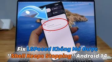 Fix Lỗi "LSPosed" Không Mở Được Trên Android 14