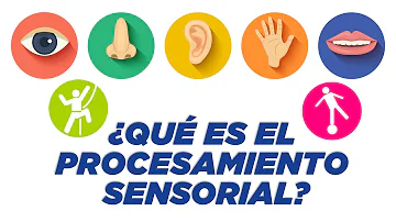 ¿Cómo se obtiene un diagnóstico de procesamiento sensorial?