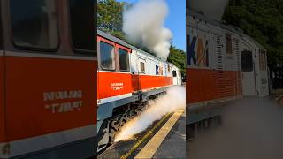 Gagahnya Kereta Lokomotif Cc 201