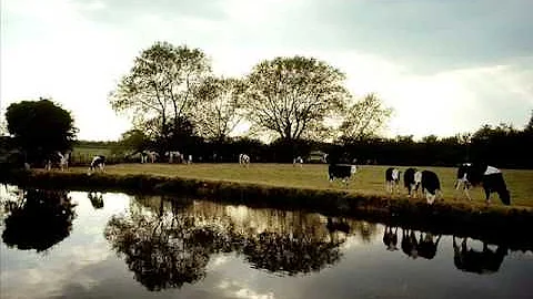 Siuil a Ruin (with lyrics) - Irish traditional Son...