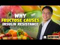 Why Fructose causes insulin resistance