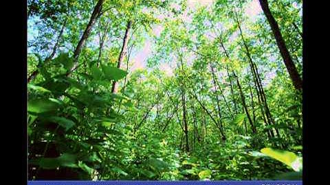 Edexcel GCSE Geography - Global Biomes and Ecosystems