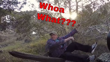 Is this a poncho?  - What would you use it for? Tarp - Hammock - Swing