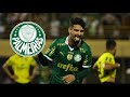 Palmeiras no perde pra ninguem unico invicto no paulisto 2024