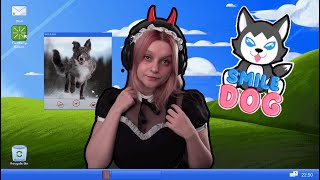 Smile Dog Nevinná Městská Legenda 1.11. 2025