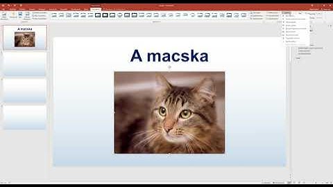2021. május 14. Informatika érettségi középszint Prezentáció macska