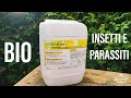 Nuovo Olio di Soia solubile per il controllo di insetti e parassiti