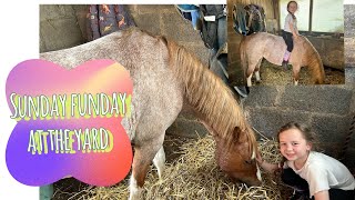 Sunday funday at the yard - join Amélie on her 11am lesson and she has a go at lunging Dave