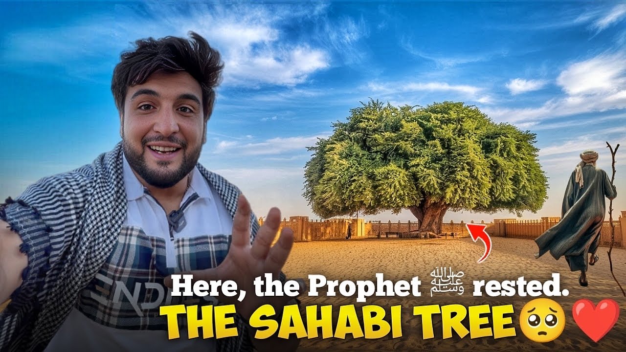 The Sahabi Tree 🥺❤️ | Jordan 🇯🇴 | Shailab Vlogs 7 