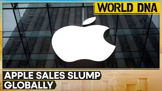 Apple's global smartphone demand declines by over 10% in 2024 | WION World DNA