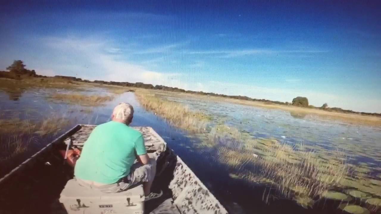 SPS longtail Lake Hernando FL YouTube