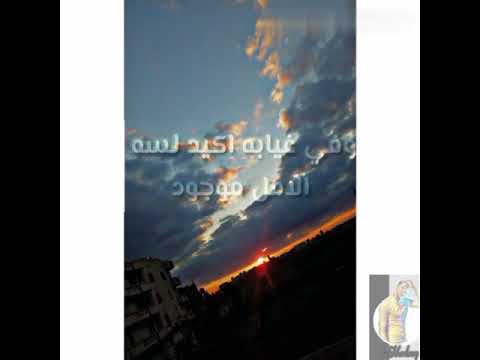 بينا معاد عمرو دياب