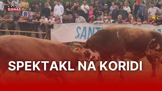 U Dicmu Slavili Šampioni Teški Više Od Tone I Skuplji Od Auta Rtl Danas