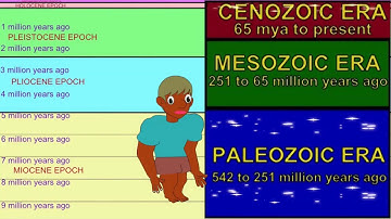 PLEISTOCENE CLIMATE CHAOS 1 THE LAST INTERGLACIAL