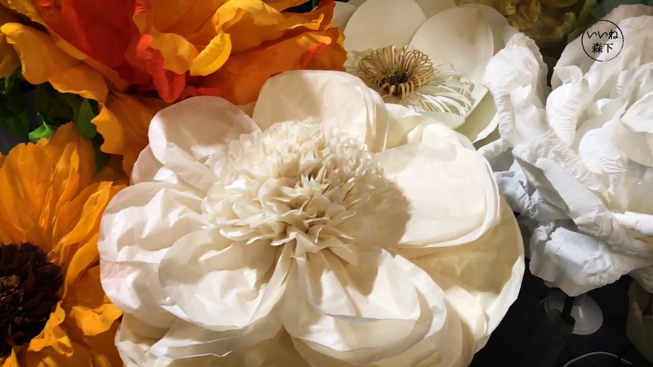 Petal Design Giant Paper Flower いいね森下 Youtube Petal Design Giant Paper Flower いいね森下 Youtube