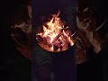 【キャンプ】焚き火 #熊斬り #熊キャンOUTDOOR
