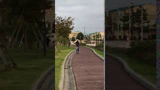 IMG 2887